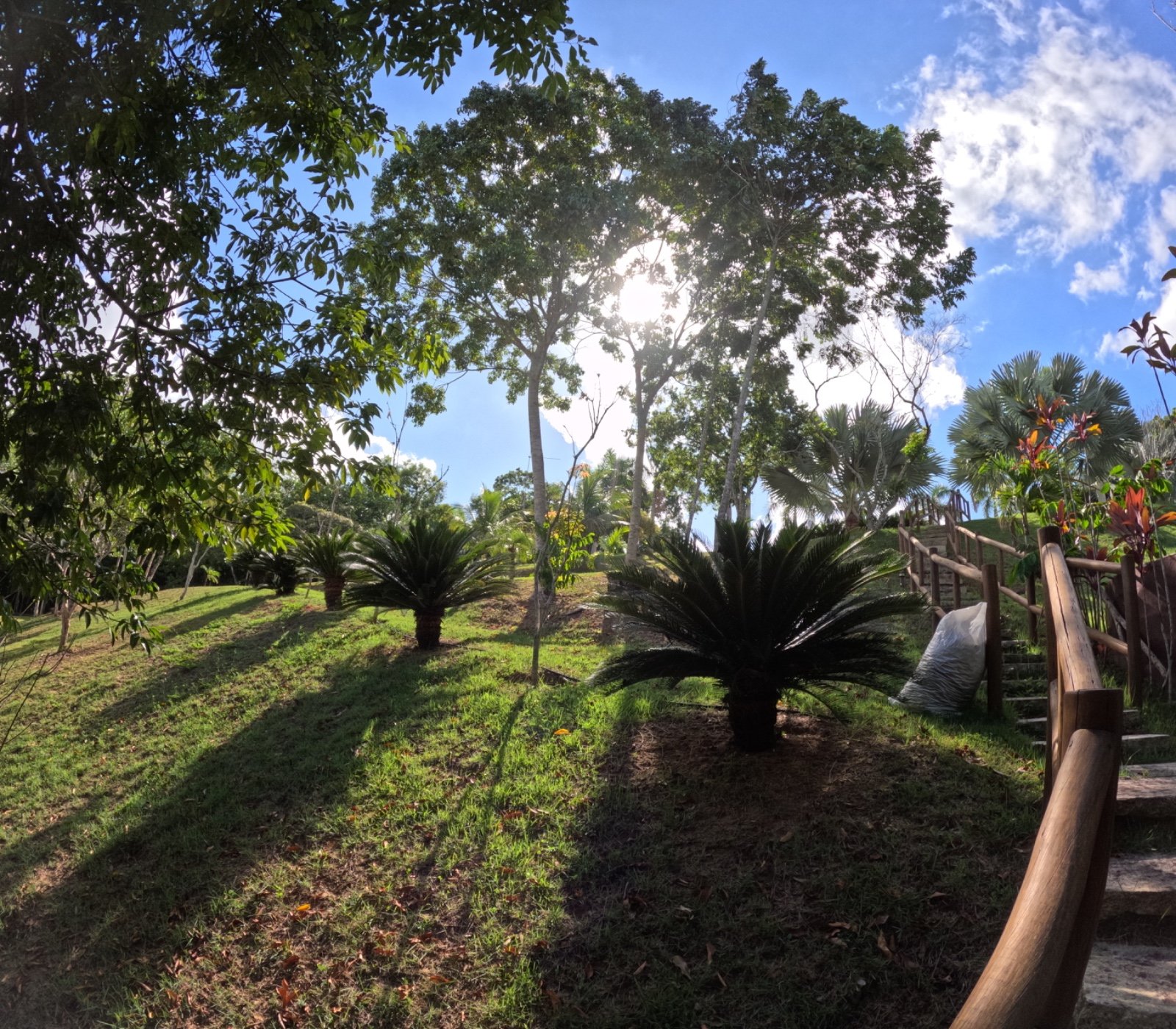 Casa e Lagoa 5000m2 um Paraíso (30)