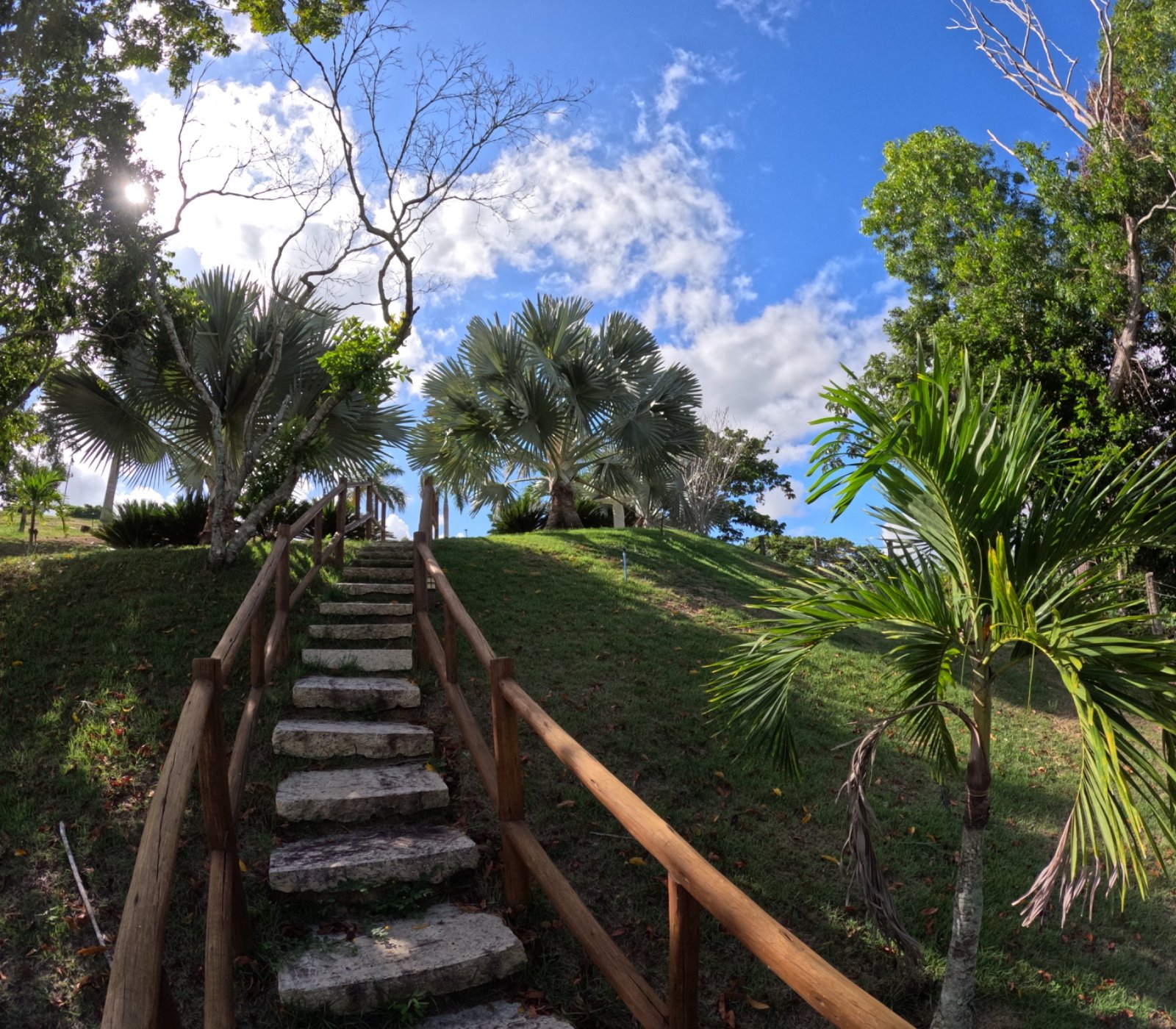 Casa e Lagoa 5000m2 um Paraíso (31)