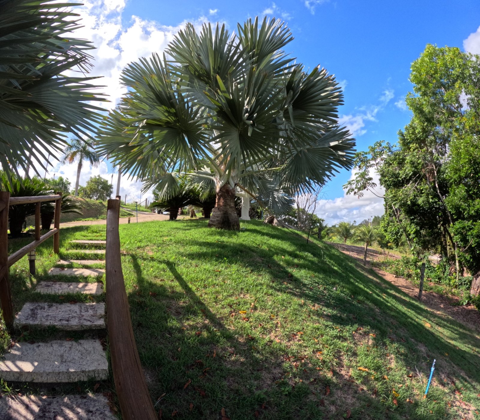 Casa e Lagoa 5000m2 um Paraíso (32)