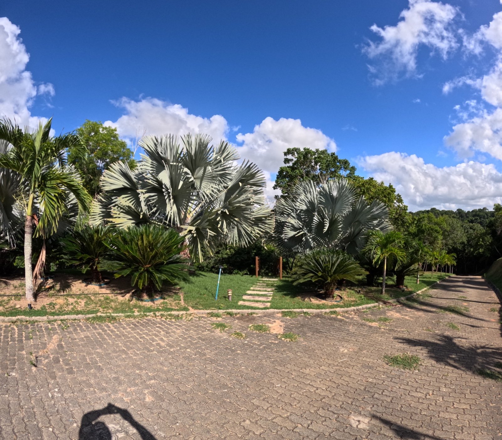 Casa e Lagoa 5000m2 um Paraíso (34)