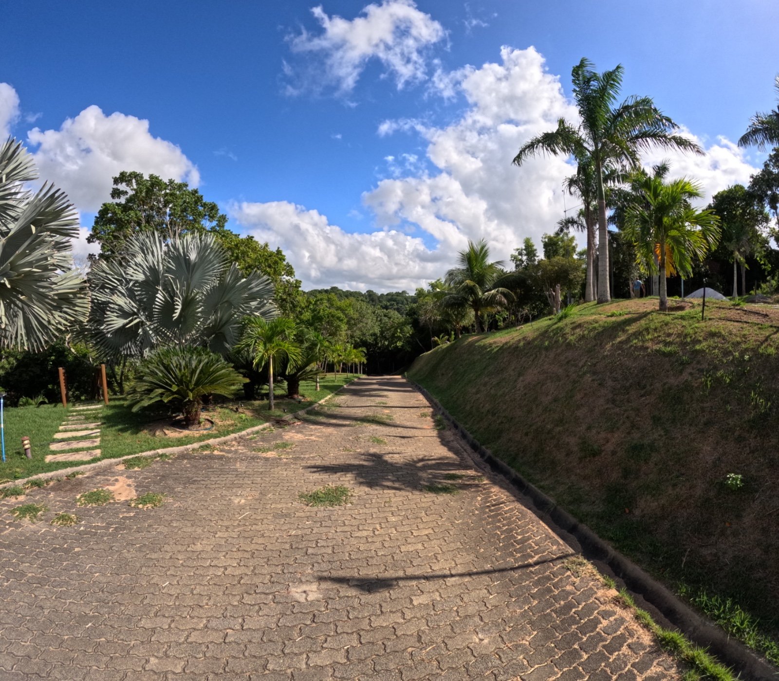 Casa e Lagoa 5000m2 um Paraíso (35)