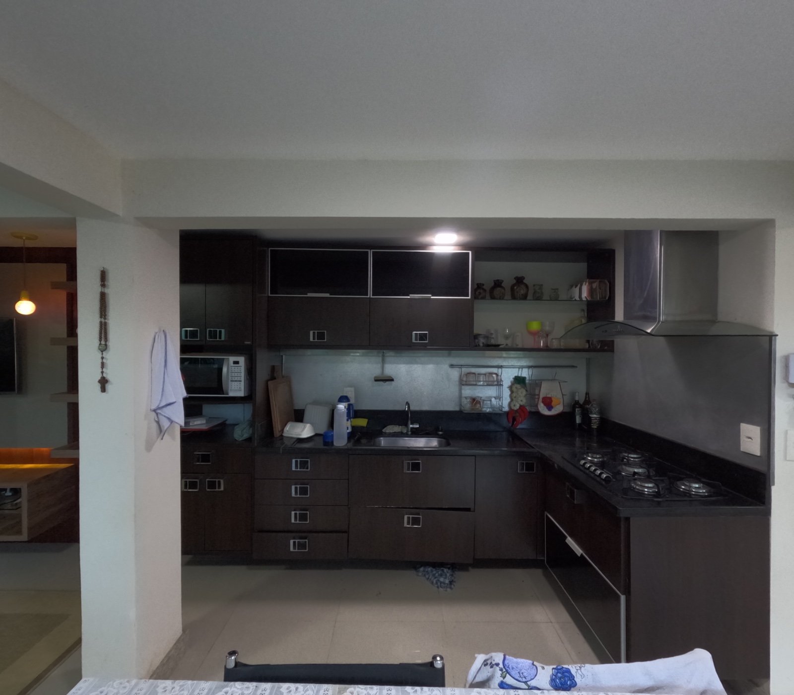 Casa e Lagoa 5000m2 um Paraíso (8)