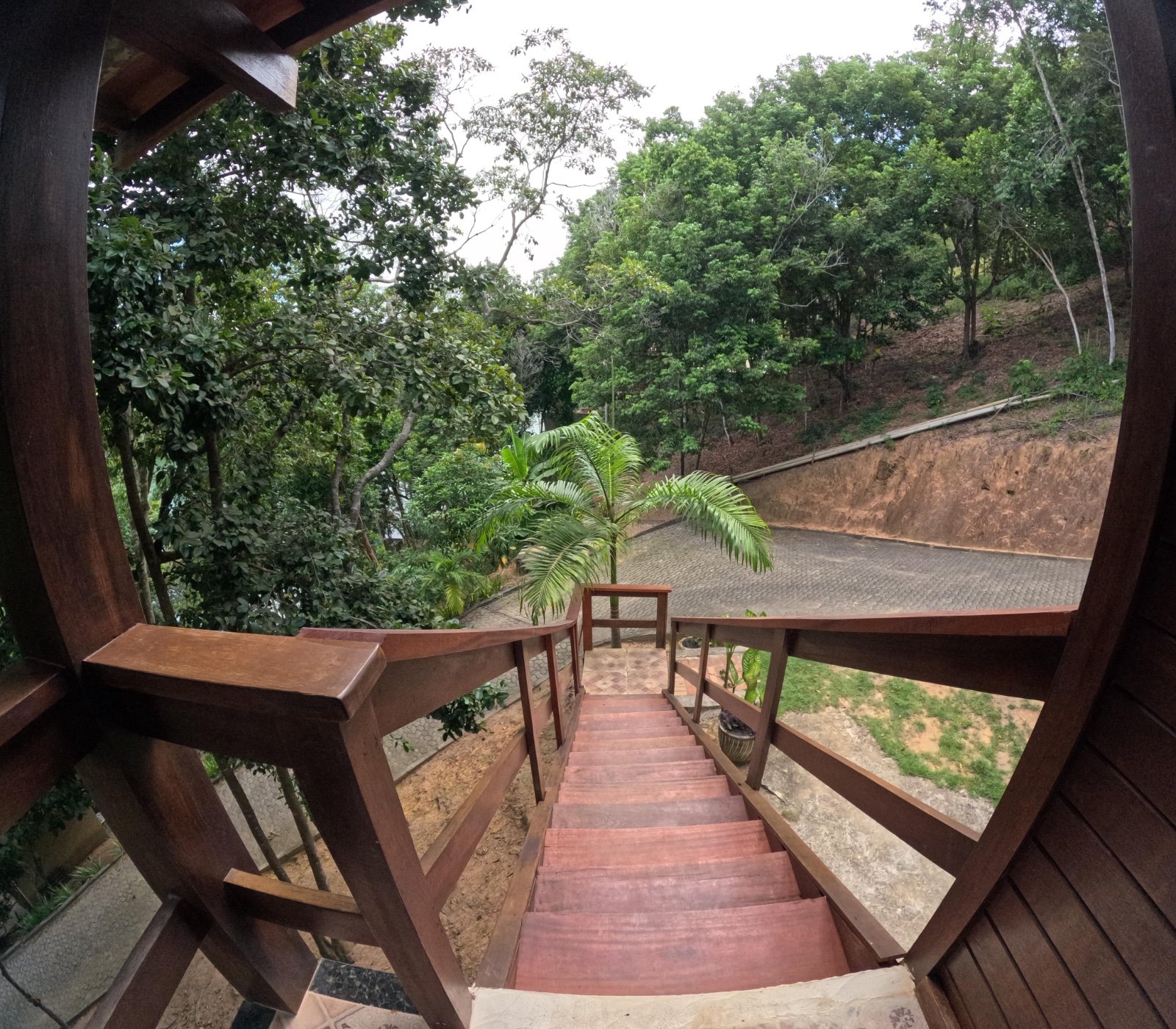 Lazer, Conforto e Natureza 6000m2 – Lagoa (22)